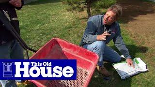 How to Revive a Brown Lawn | This Old House