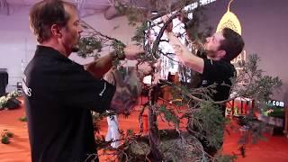 Bonsai demo by Marc Noelanders