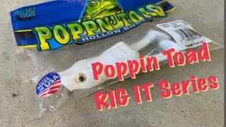 Poppin Toad  | Rig It Series #bassfishing #topwater #bassfishingvideo