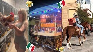 HUMOR VIRAL #249| SI TE RIES PIERDES. | COSAS de M3XlCAN0S HUMOR MEXICANO | VIRAL MEXICANO