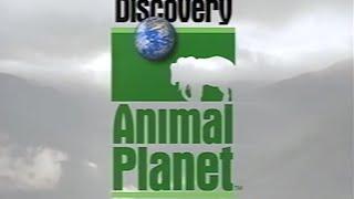 Animal Planet Debuts, Celebrates Relationship Between Humans and Animals