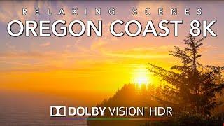 Road Trip USA Part 9  -- Scenic Drive of Oregon Coastline at Sunset 8K Dolby Vision HDR ASMR