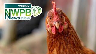 Columbia River Treaty Update, Avian Flu in the NW and the Holidays on NWPB: December 13, 2024