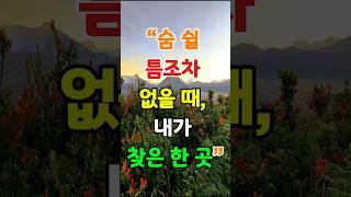숨 쉴 틈조차 없을 때 내가 찾은 한 곳 #은혜#피난처#하나님