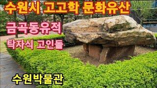 수원 금곡동 탁자식 고인돌