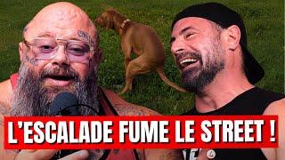 L'ESCALADE EST SUPÉRIEURE AU STREET WORKOUT !? - TENGO & HENRI INVITENT UN GRIMPEUR