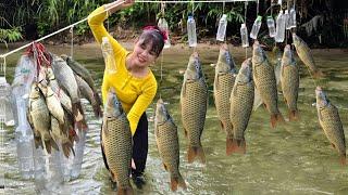 How to fish with plastic cans, harvest many giant carp, Vietnam fishing