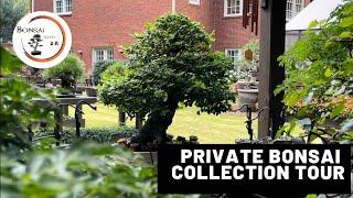 Private Bonsai Collection Tour | The Bonsai Supply