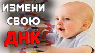 ДНК человека. Молекулы днк в клетке. Что такое ДНК простыми словами.