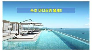 속초 바다조망 블루테라 월세!!(거래완료)