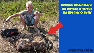 Основа для прикормки из гороха и сечки на крупного леща и карася