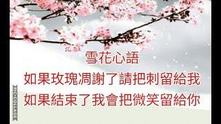 傷感好文《雪花心语》如果玫瑰凋謝了 請把刺留給我 如果結束了 我會把微笑留給你