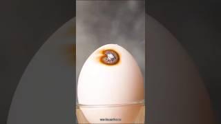 #science #thebrainscoop #experiment #sciencefacts #egg #technology 