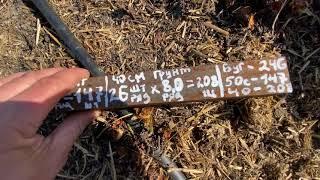 Клубника посадка как выгодней садить размеры на чем выгоднее садить на буграх или на открытом грунте