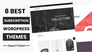 8 Best WordPress Themes for Subscription Service 2024 | Business WordPress Themes