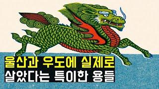 신기하고 재밌는 한국의 용 이야기들(The stories of korean dragons)