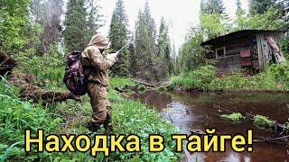 ВОТ ЭТО НАХОДКА!!! РЫБАЛКА В ТАЙГЕ СДЕЛАЛА НАС БОГАТЫМИ!