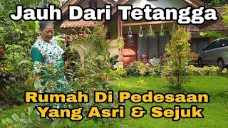 SUASANA RUMAH DI DESA  SEJUK ASRI DAMAI || NANAM DAUN SIRIH HITAM