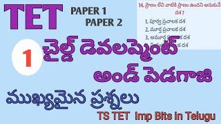 TS TET CHILD DEVELOPMENT AND PEDAGOGY IMP BITS IN TELUGU| TS TET PAPER 1 PAPER 2 IMP BITS IN TELUGU|