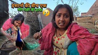 मासूम मोर पक्षी मर गया क्या दोष था इसका | sad couple | क्यों पेड़ों को काटा जा रहा है |