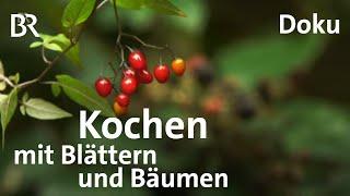 Selbstversorger-Menü aus dem Wald - Kochen mit Blättern und Früchten | Freizeit | Doku | BR