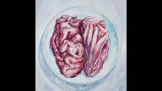 Azar Strato — Human Salad (full album)