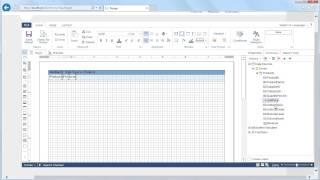 Creating Report with Formula Fields in MVC Designer - [Shot on version 2015.1]