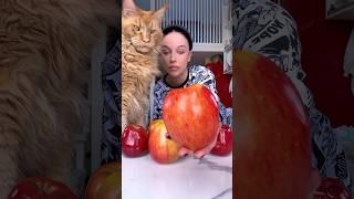 что еще сделать с яблоками? #готовка #рецепты #пирог