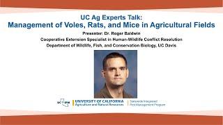 UC Ag Experts Talk: Management of Voles, Rats, and Mice in Agricultural Fields