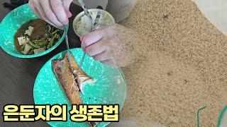 장마철 곰팡이 낀 쌀을 덜어내 아욱국에 밥을 말며, 은둔자의 생존법