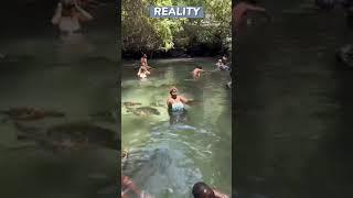 Instagram vs Reality #feedingturtlesinzanzibar  #vacation #adventure #adventure-travel
