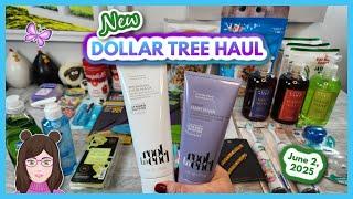 Fun DOLLAR TREE Haul!  New Finds!  June 2, 2025