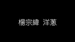 楊宗緯   洋葱 無損音樂FLAC 歌詞LYRICS 純享