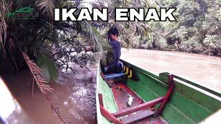 BERUNTUNG BANJIR GINI MASIH DAPAT IKAN ENAK‼️