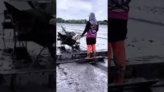 The entire process of mechanical farming#shorts