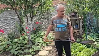 Готовим омлет, андрей в огороде !