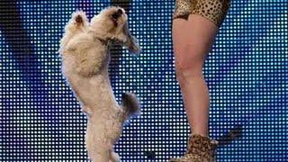 Ashleigh and Pudsey - Britain's Got Talent 2012 audition - UK version