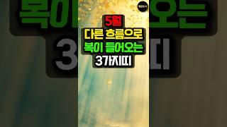 5월부터 남들과는 다른 흐름으로 복이 들어오는 3가지띠! #돈벼락 #띠별운세 #사주 #운세 #대박운 #금전운 #로또 #로또당첨 #로또1등 #용띠 #토끼띠 #소띠