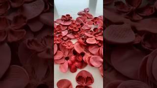 Red love  orchids