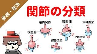 関節の種類の覚え方