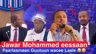 Jawar Mohammed Yoomirraa Miseensa Paarlaamaa Ethiopia tahe jedhan fakkaata yeroo maqaa jawar yaaman