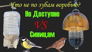 Кормушка только для синичек. Как разделить воробьёв и синичек. Кормушка исключительно для синиц.