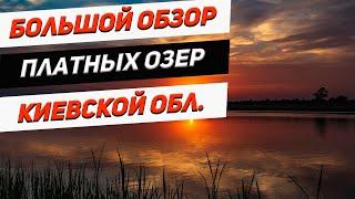 Обзор платных озер Киевской области | Где ловить рыбу ?