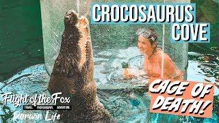 Crocosaurus Cove | CAGE OF DEATH  Best things to do in Darwin! | Episode 38 - Darwin Life