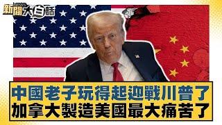 中國老子玩得起迎戰川普了 加拿大製造美國最大痛苦了【#新聞大白話】20250412｜#介文汲 #謝寒冰 #楊永明