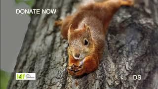 Lake District Foundation on BBC Radio Cumbria