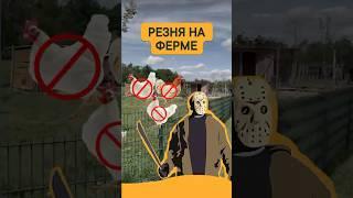 Нам на ферме скучать не приходится  #германия #германияжизнь #корги #жизньвгермании #блогер