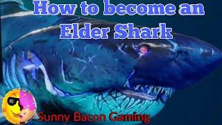 How to become an Elder Shark.  Fighting Scaly Pete. On Maneater