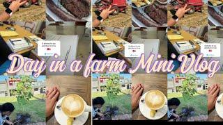 Day in Farm mini Vlog  #vlog