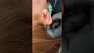 #MultipleEarPiercings by Jabba  @get-piercedltd Carlisle, Cumbria #EarPiercing #TragusPiercing